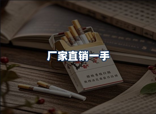 专业团队办公环境